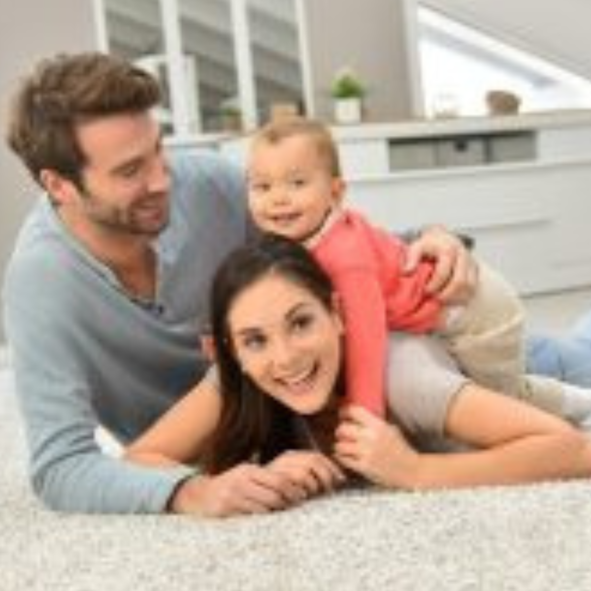 Carpet Cleaning Carpet Cleaners Auckland Rug Cleaners