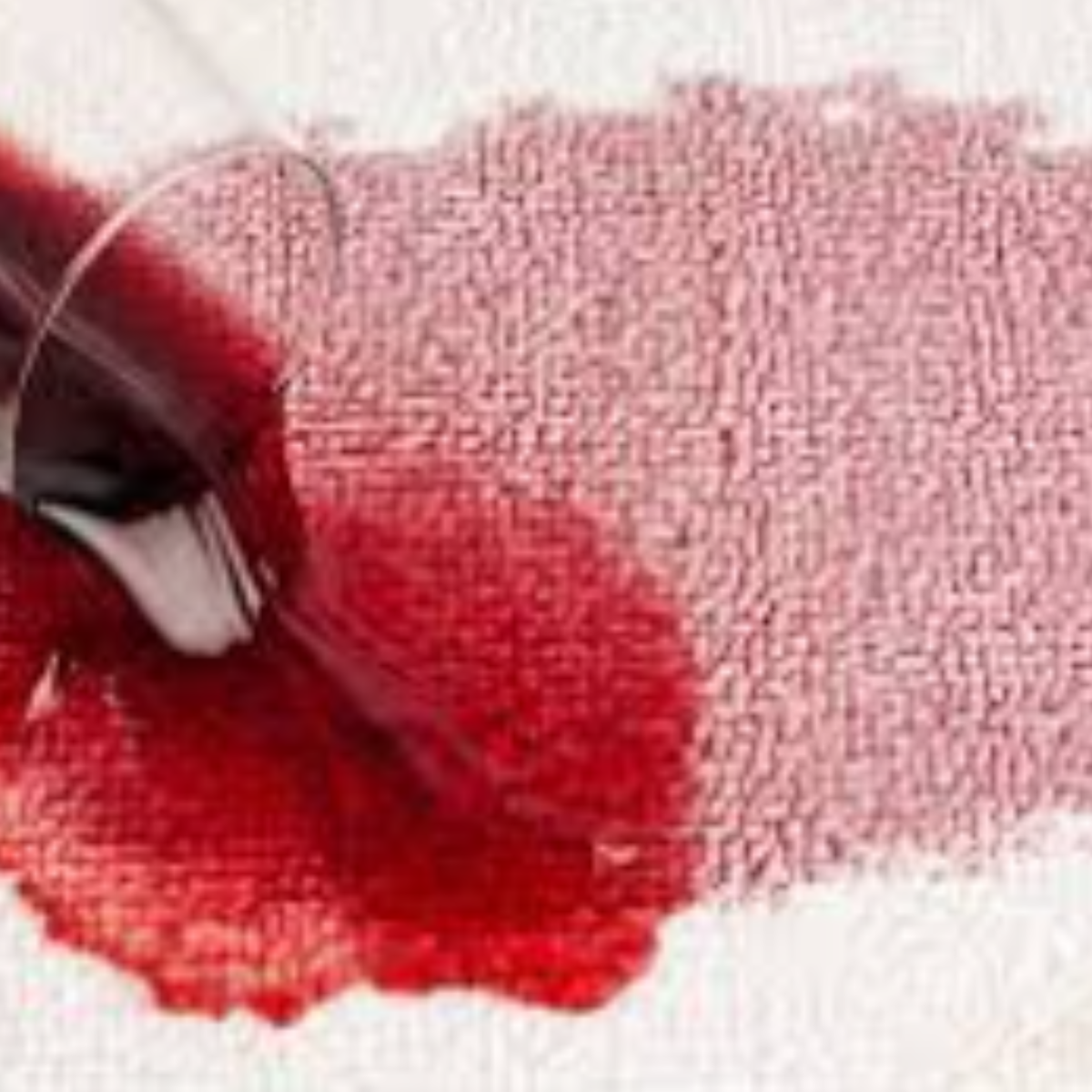 Stain Removal Auckland. Steam n Dry Stain Cleaners